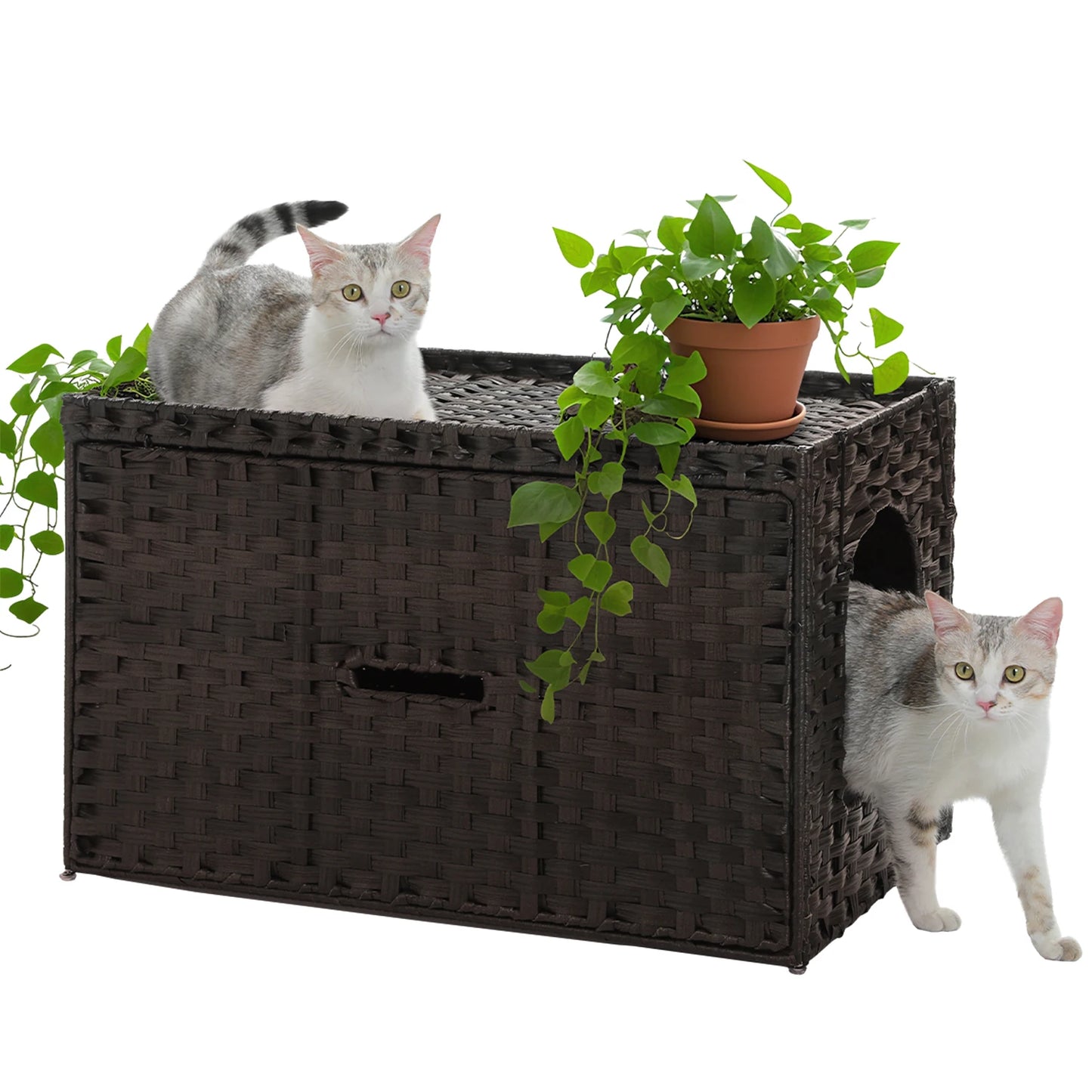 PEQULTI Rattan Cat Litter Box Enclosure With Tall Doorway