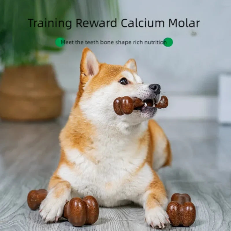 Indestructible Natural Wood Dog Bone Chew Toy For Happy Puppies