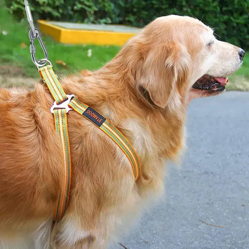 Double Headed Dog Tie Out Cable Leash With Stainless Buckle