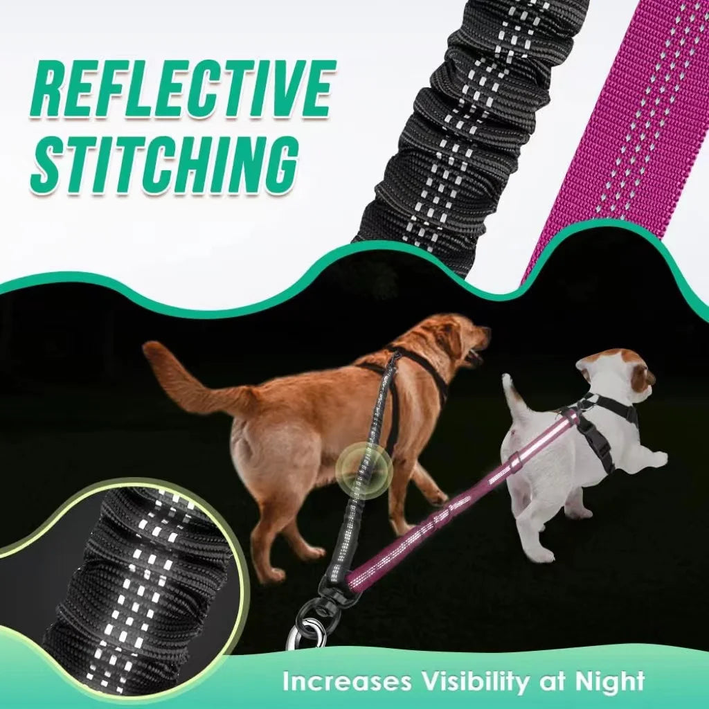 Dual Dog Leash Attachment With Shock Absorbing Bungee