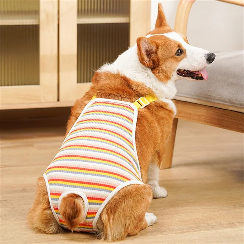 Adjustable French Bulldog Pet Underwear With Shoulder Straps