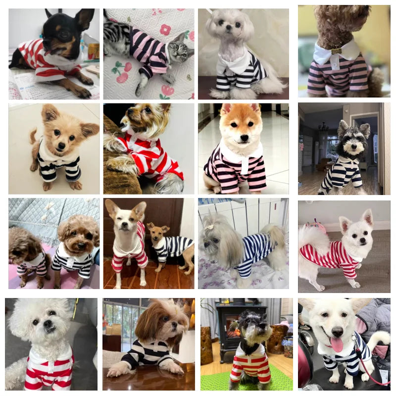 Summer Dog Polo Shirt Striped Cooling Vest For Small Dogs
