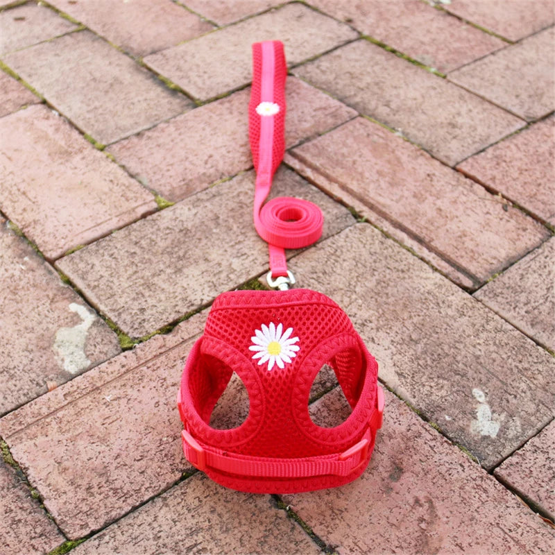 Mesh Small Dog Harness And Leash Set Floral For Puppies