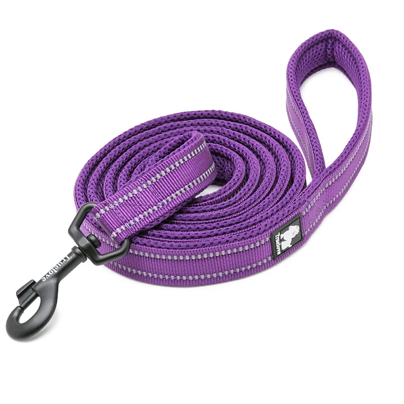 Winhyepet Padded-Handle Dog Leash for Training and Daily Walks