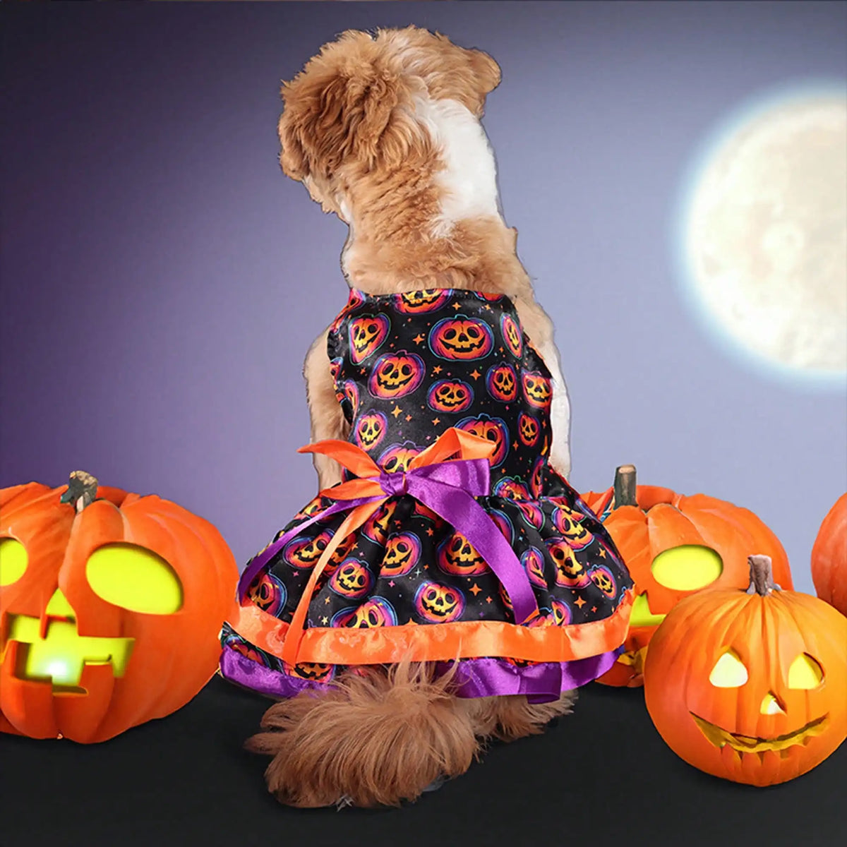 Premium Pumpkin Skull Print Bowknot Halloween Dog Dress