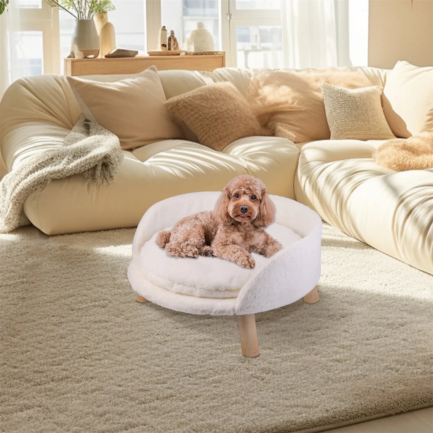 Bingopaw Pet Sofa Bed Raised Cat Chair Small Dog Couch