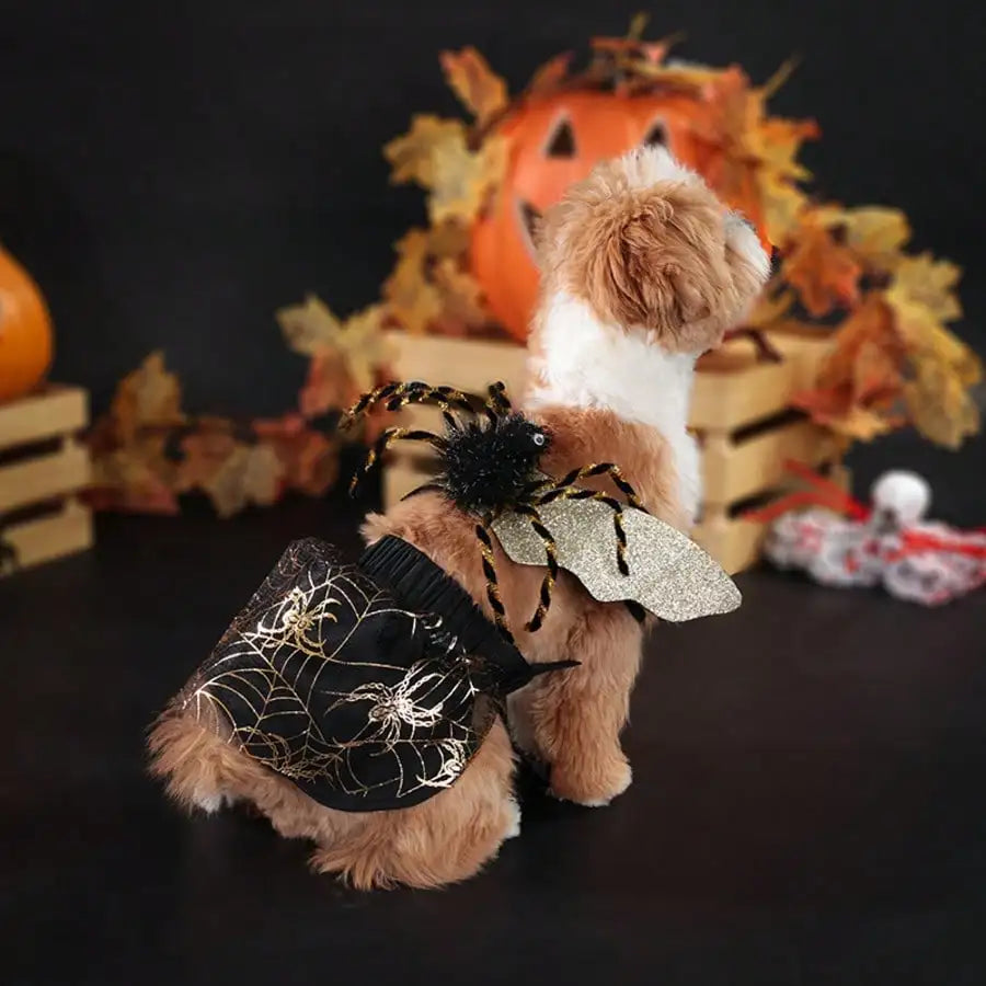 Stylish Adjustable Halloween Spider Pet Costume For Pets