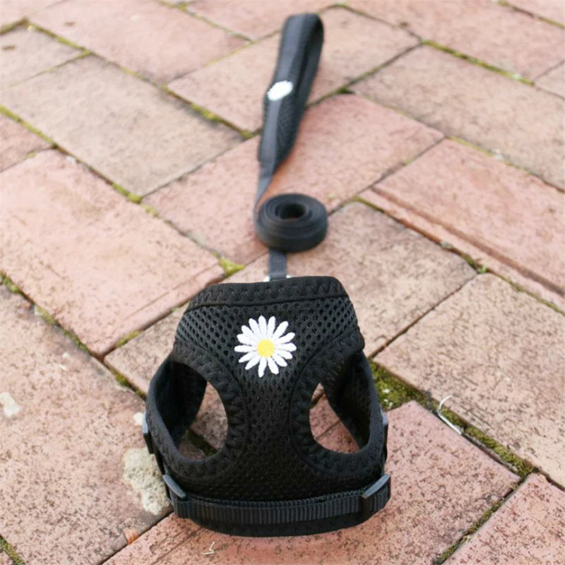 Mesh Small Dog Harness And Leash Set Floral For Puppies