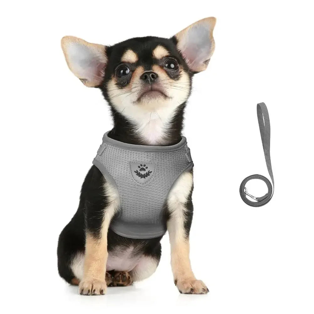 CAIBAN Cat Harness Leash Set Reflective Mesh Vest Adjustable