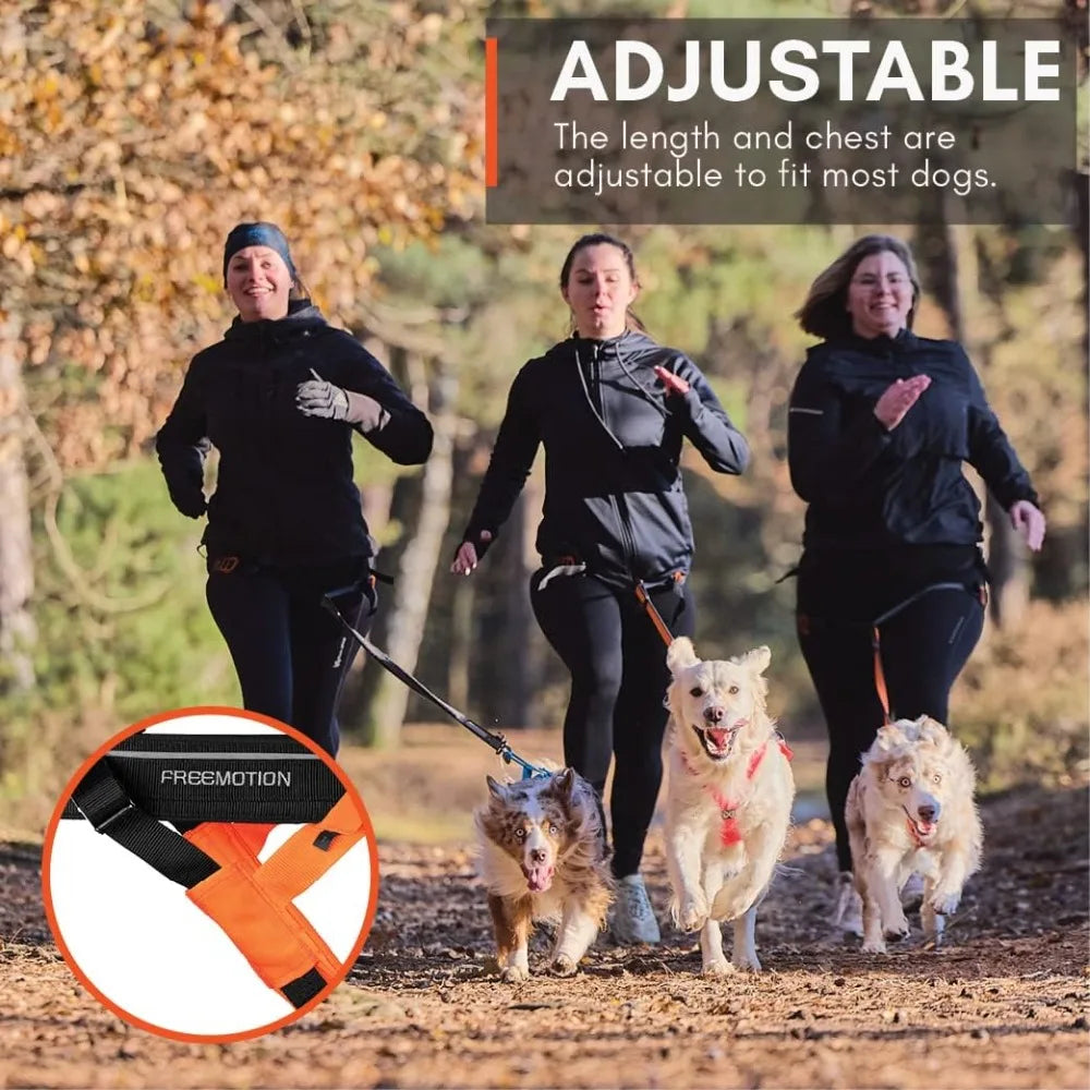 Freemotion Harn5.0 Dog Pulling Harnfor Sports Like Running, Biking and Skiing with Dogs, Professional