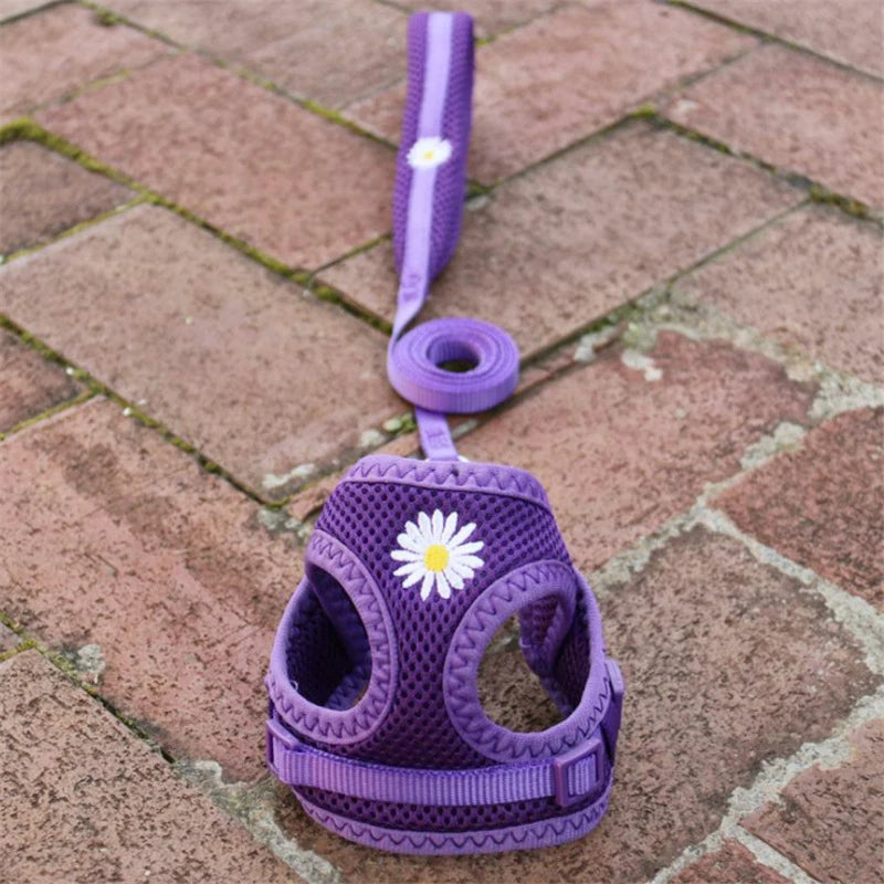 Mesh Small Dog Harness And Leash Set Floral For Puppies