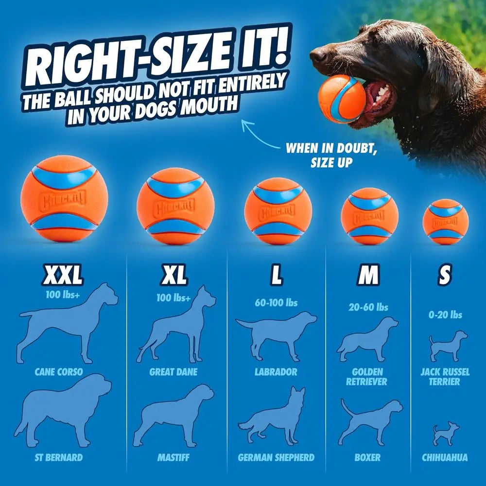 Ultra Ball Dog Toy Durable Rubber Floats Super Bouncy
