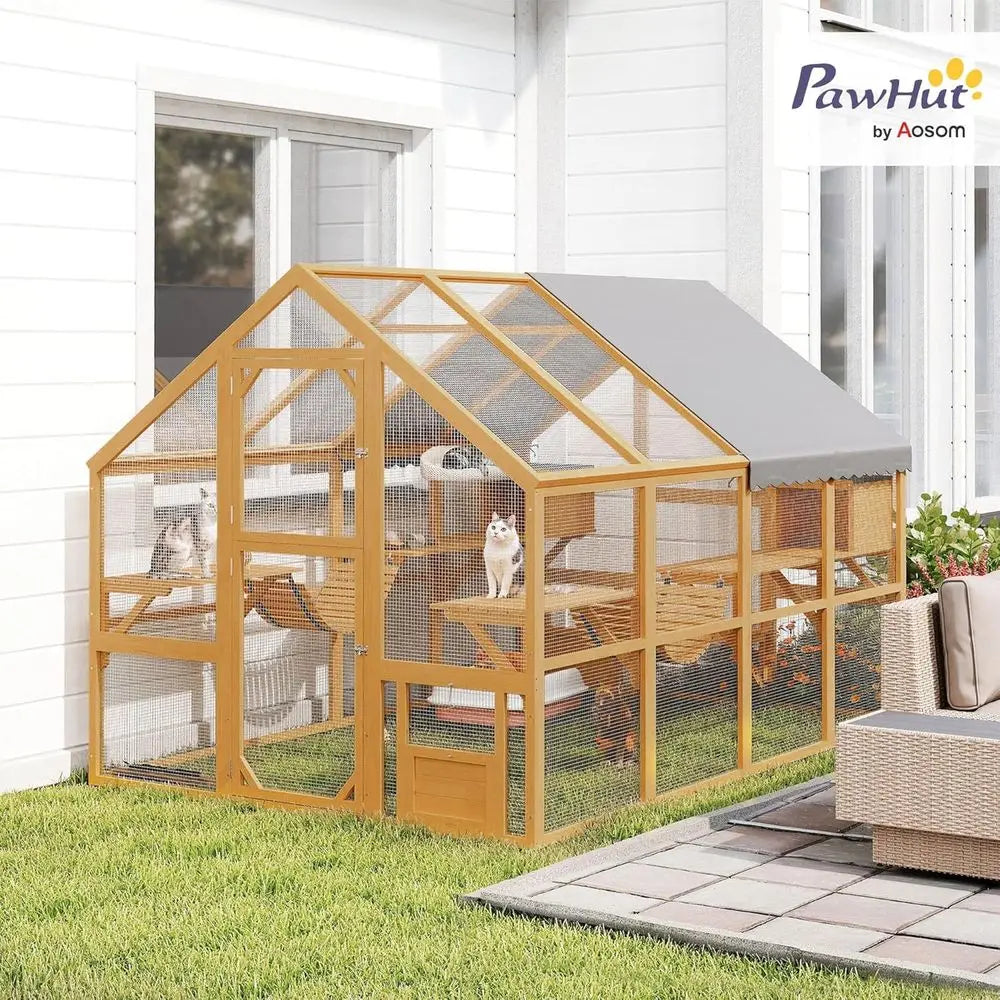 Outdoor Cat Enclosure For Multiple Cats With Walk In Access