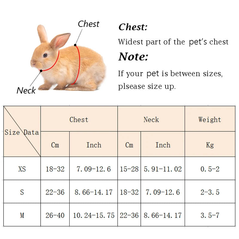 Cute Angel Wing Rabbit Harness And Leash For Pets Adjustable