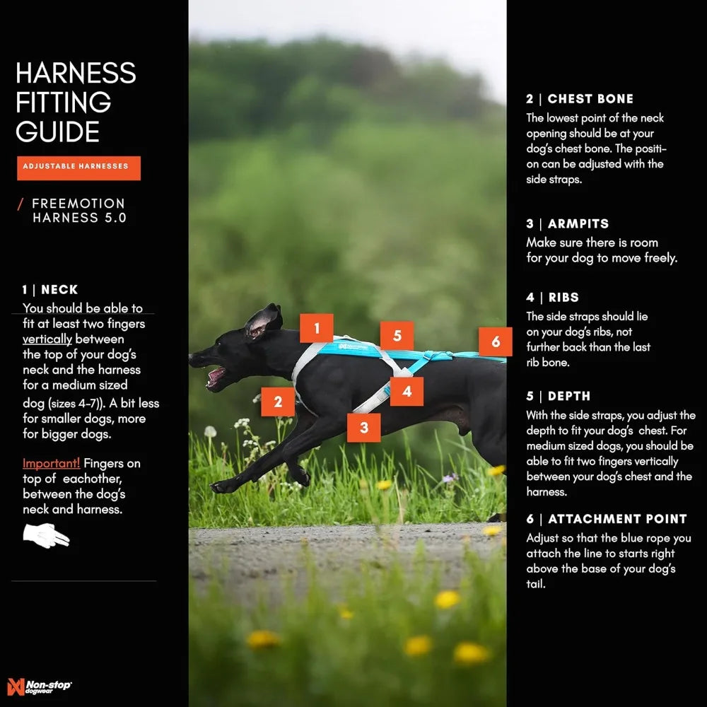 Freemotion Harn5.0 Dog Pulling Harnfor Sports Like Running, Biking and Skiing with Dogs, Professional