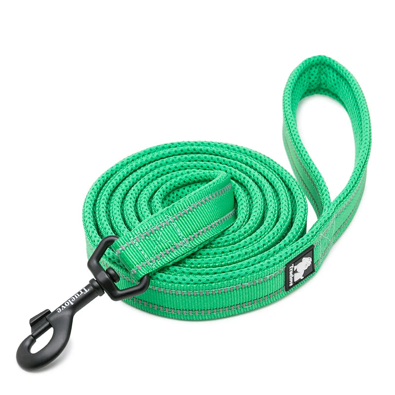 Winhyepet Padded-Handle Dog Leash for Training and Daily Walks