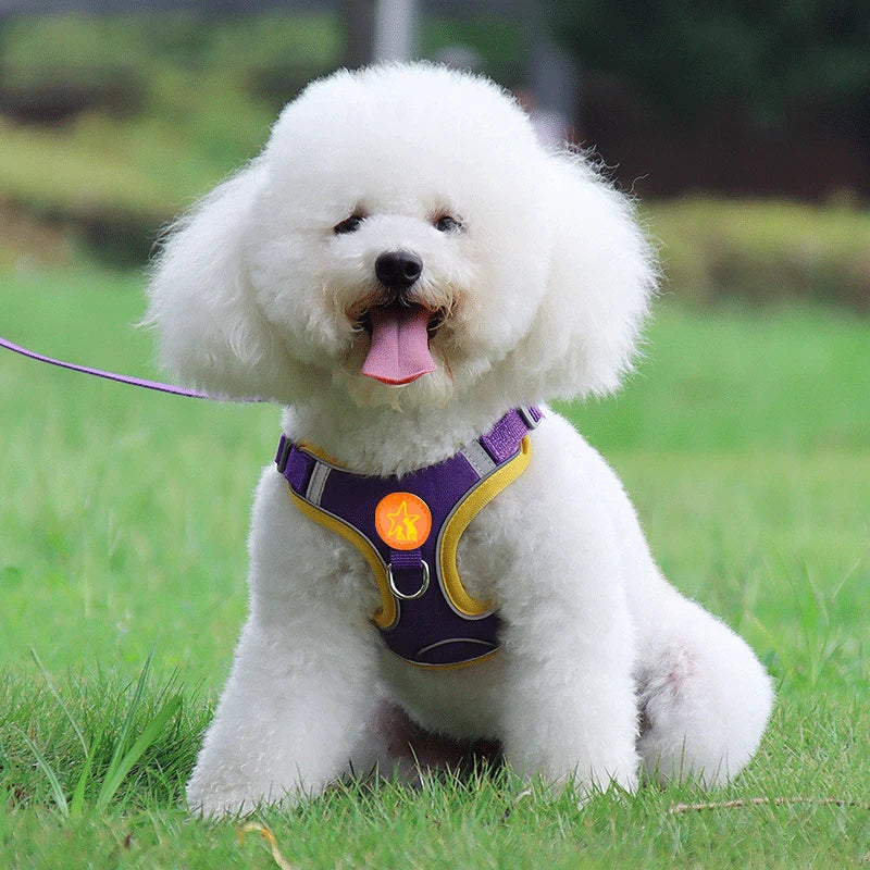 Reflective Mesh Dog Harness Vest With Traction Rope