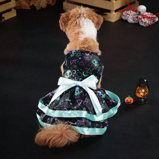 Pet Dog Halloween Costume With Pumpkin Skull Print Bowknot