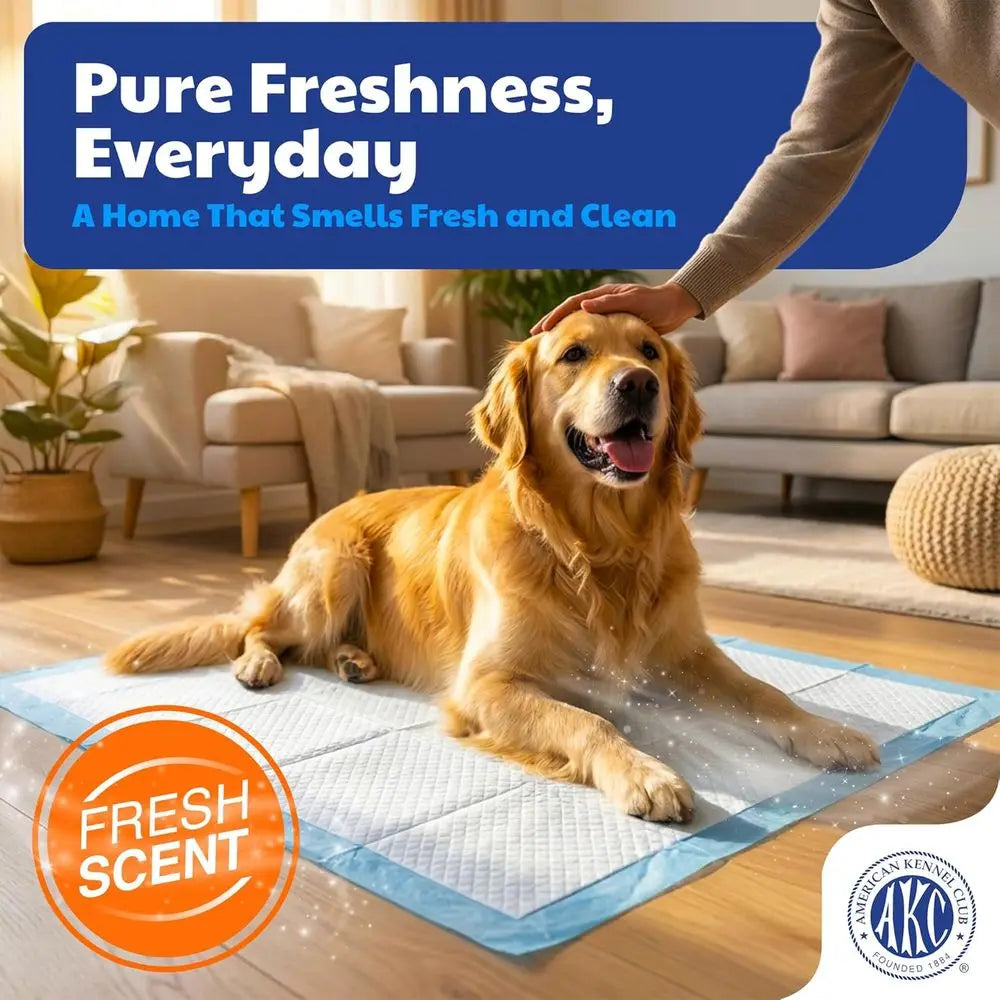 Puppy Training Pads Ultra Absorbent Quick Dry Gel 50 Count