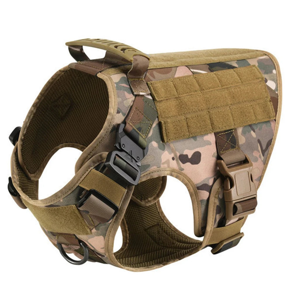Padded Dog Harness And Leash Set For Training And Walking