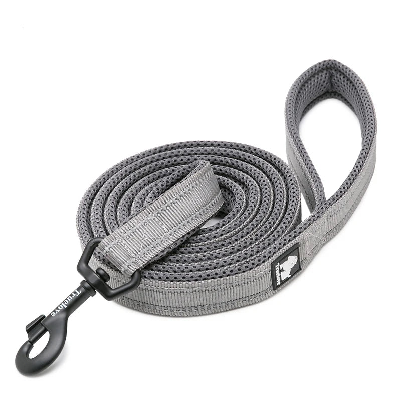 Winhyepet Padded-Handle Dog Leash for Training and Daily Walks