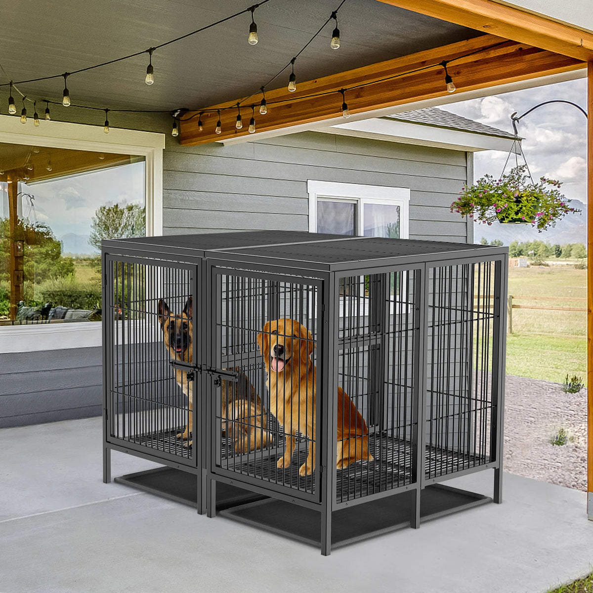 BINGOPAW Heavy Duty Metal Dog Crate With Removable Divider