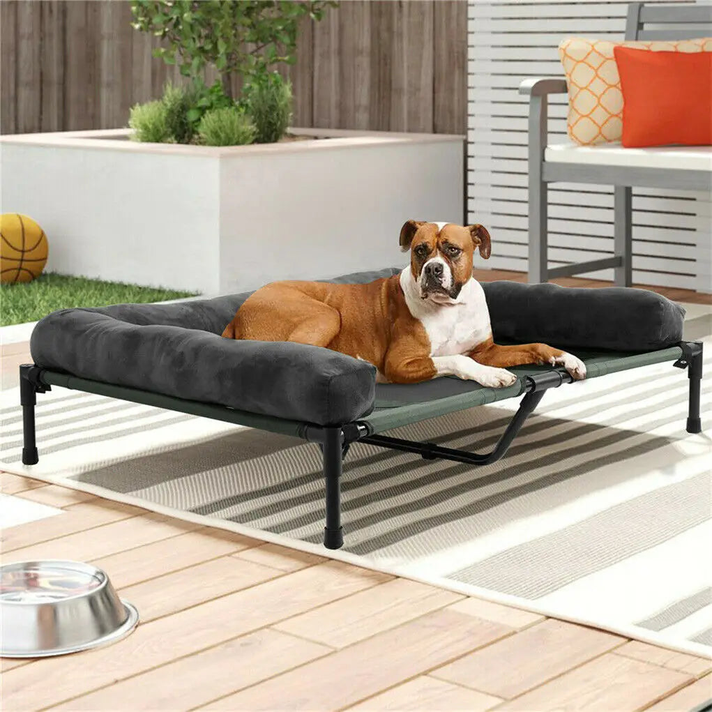 Bingopaw Elevated Pet Lounger Bed With Breathable Cooling Design