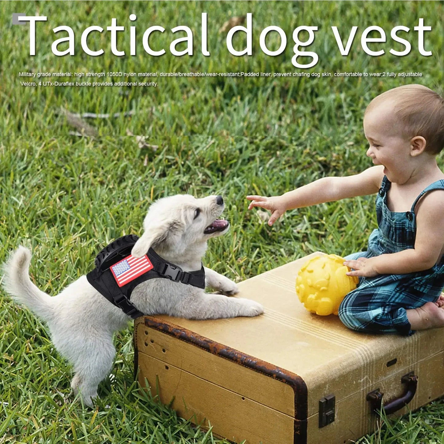 Tactical Puppy Harness And Leash Set For Small Dogs