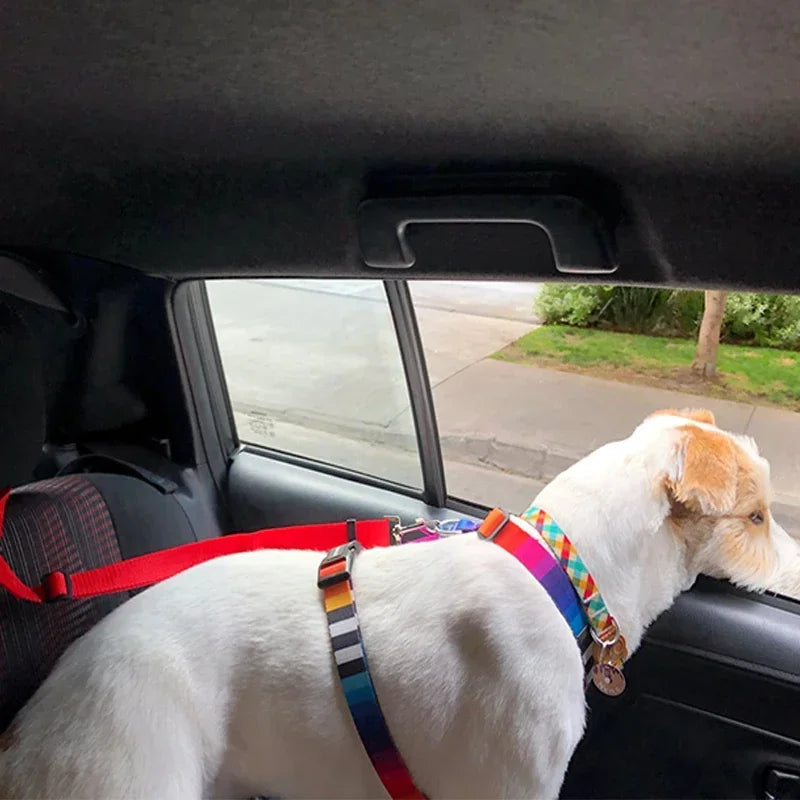 Nylon Pet Car Seat Belt Leash And Backseat Safety Harness