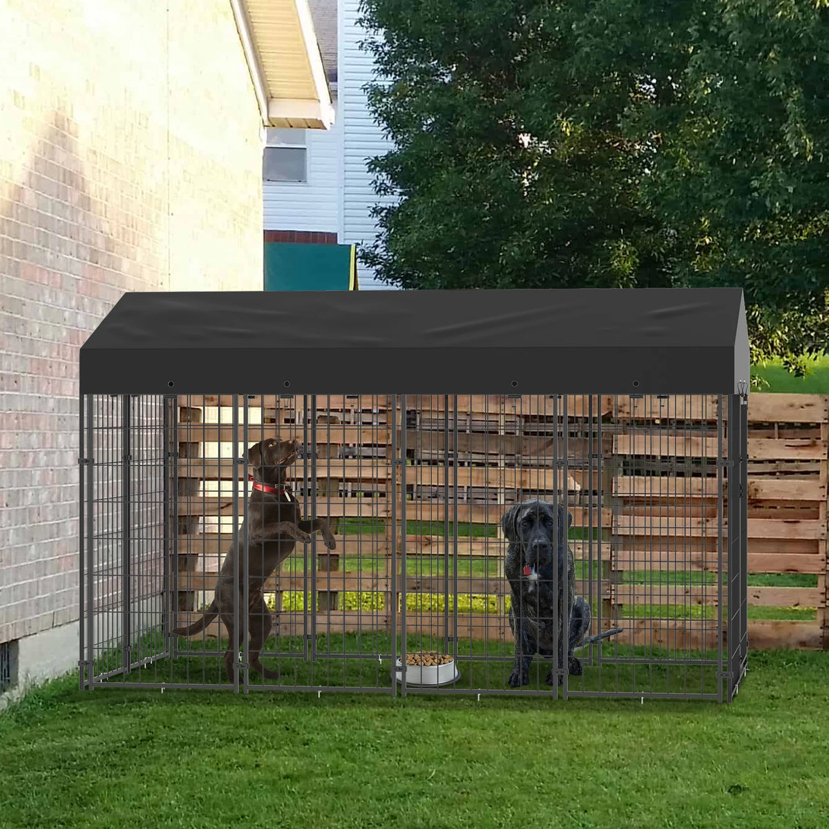 BINGOPAW Outdoor Dog Kennel Welded Wire Run With Weatherproof Canopy