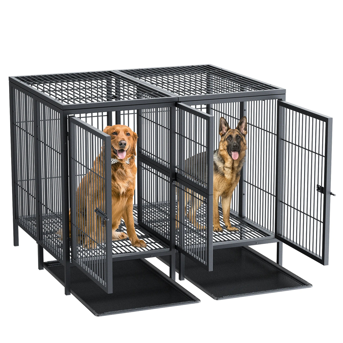 BINGOPAW Heavy Duty Metal Dog Crate With Removable Divider