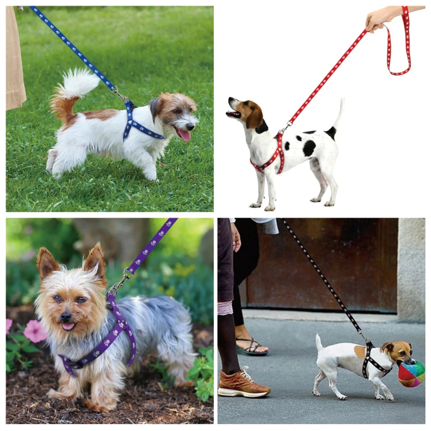 Adjustable Nylon Dog Harness And Leash Set With Paw Prints