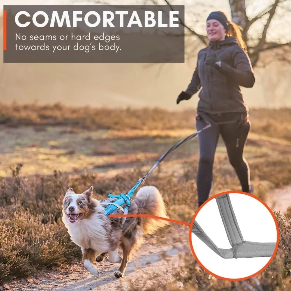 Freemotion Harn5.0 Dog Pulling Harnfor Sports Like Running, Biking and Skiing with Dogs, Professional
