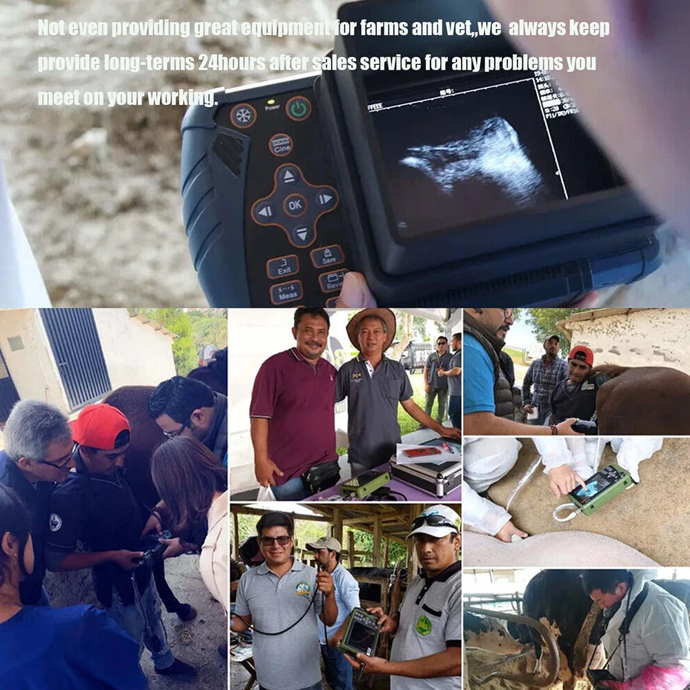 DAWEI Portable Veterinary Ultrasound Scanner with 3.5MHz Convex Probe