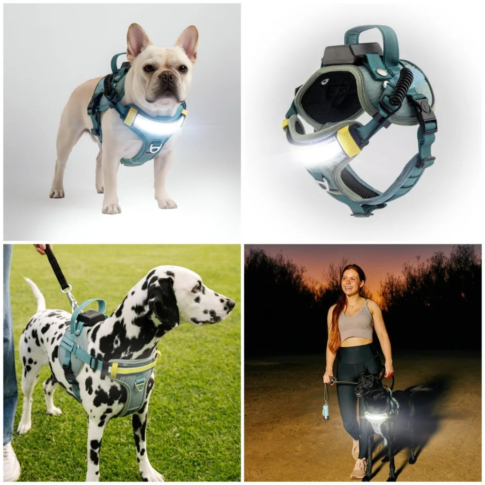 Lumi One LED Dog Harnfor Night Visibility and Safety, Patent Pending – High-Visibility Light-Up Dog