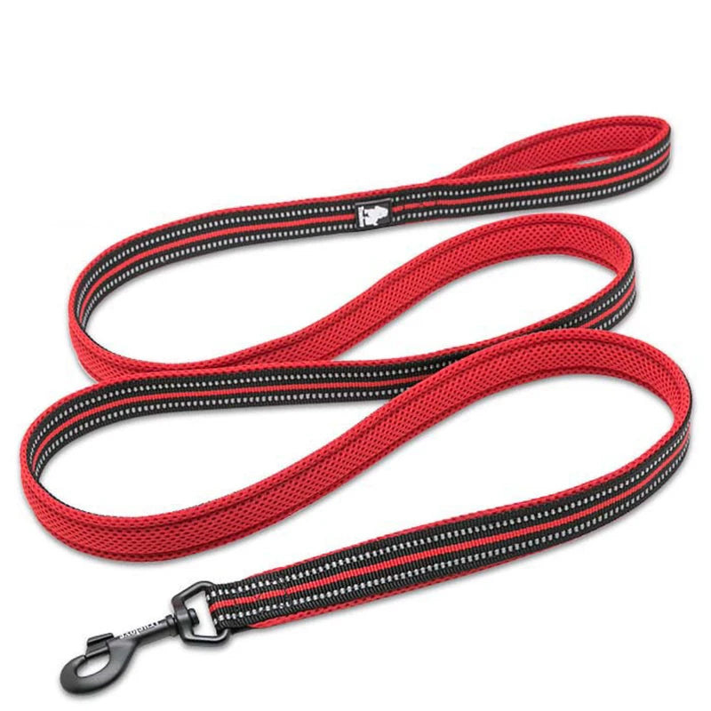 Winhyepet Padded-Handle Dog Leash for Training and Daily Walks