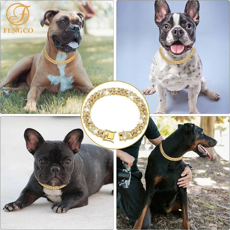 Luxury Stainless Steel Chain Collar for Dogs and Cats