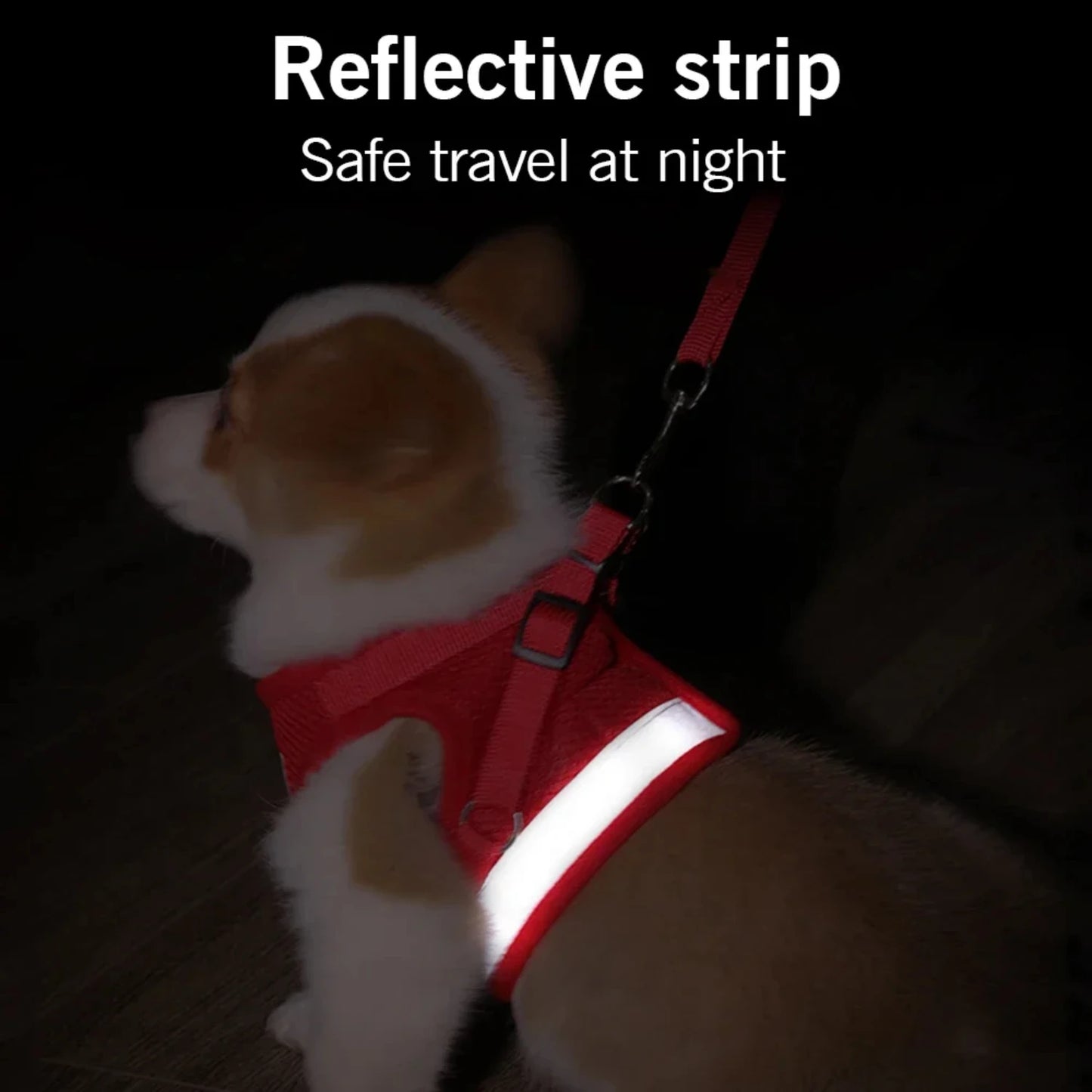 Reflective Adjustable Dog Harness With Leash And Vest Set