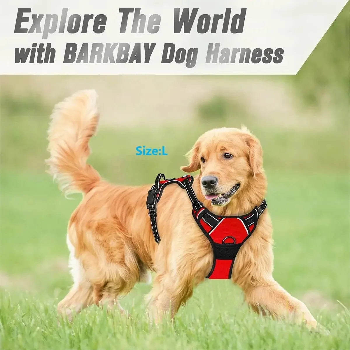 BeiYu Pet Durable Dog Vest Harness With Adjustable Straps