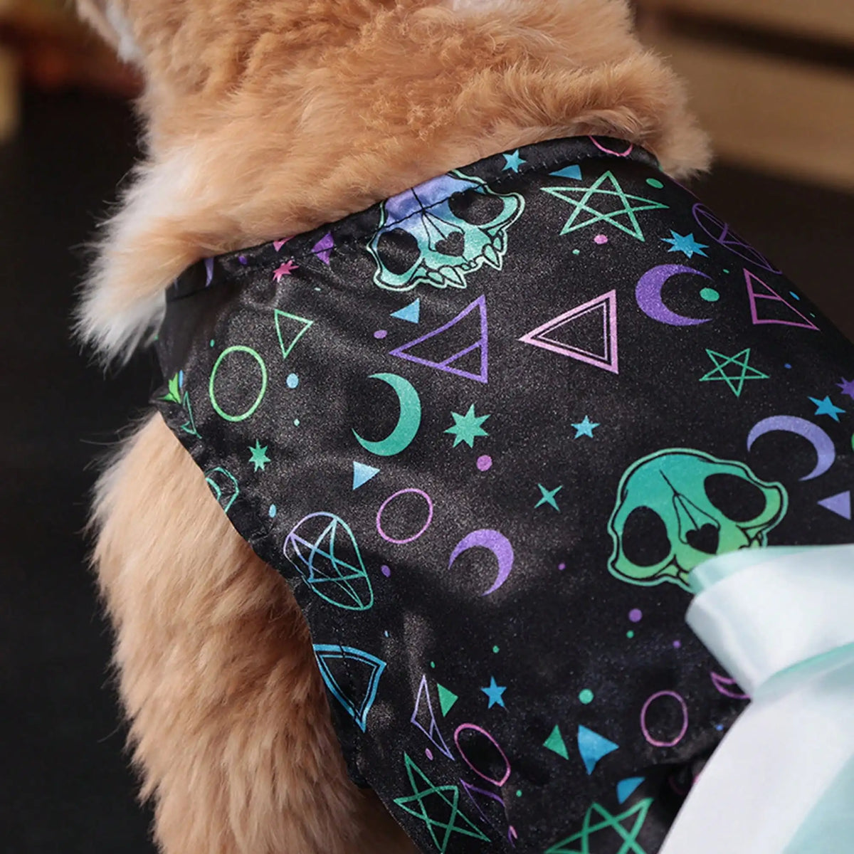 Pet Dog Halloween Costume With Pumpkin Skull Print Bowknot