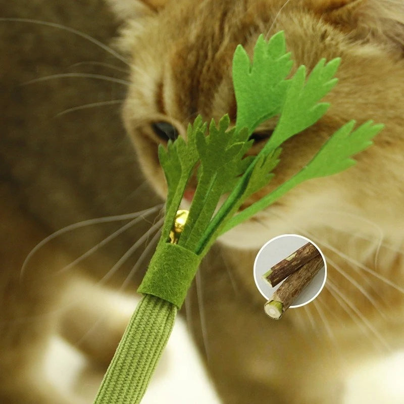 Cat Chew Toys Interactive Catnip Molar Stick With Bell