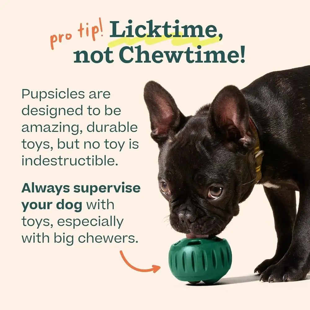 Long Lasting Interactive Dog Ball Toy for Busy Dogs