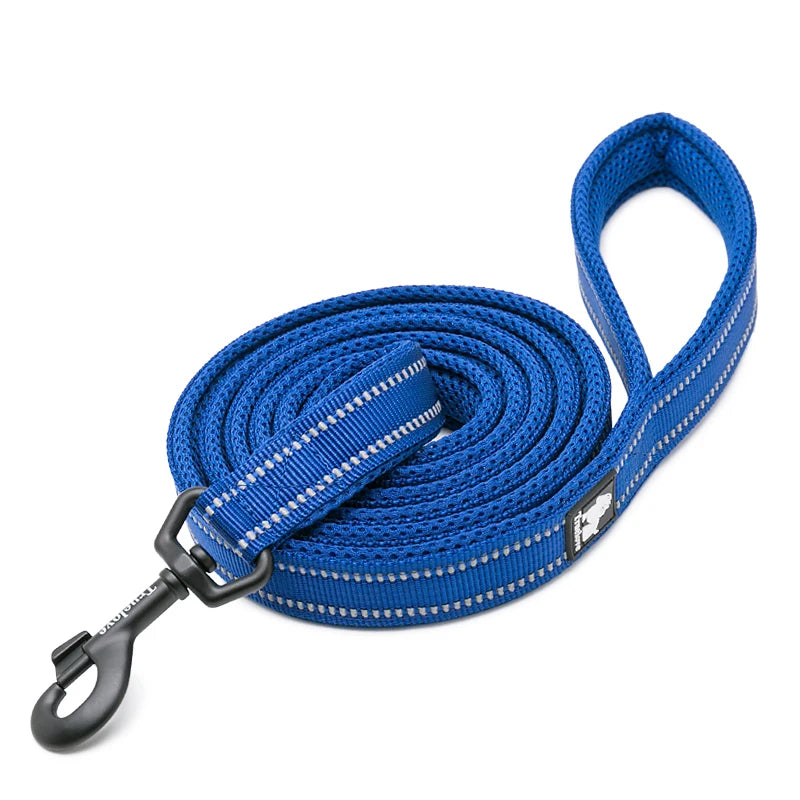 Winhyepet Padded Handle Reflective Dog Leash For Training