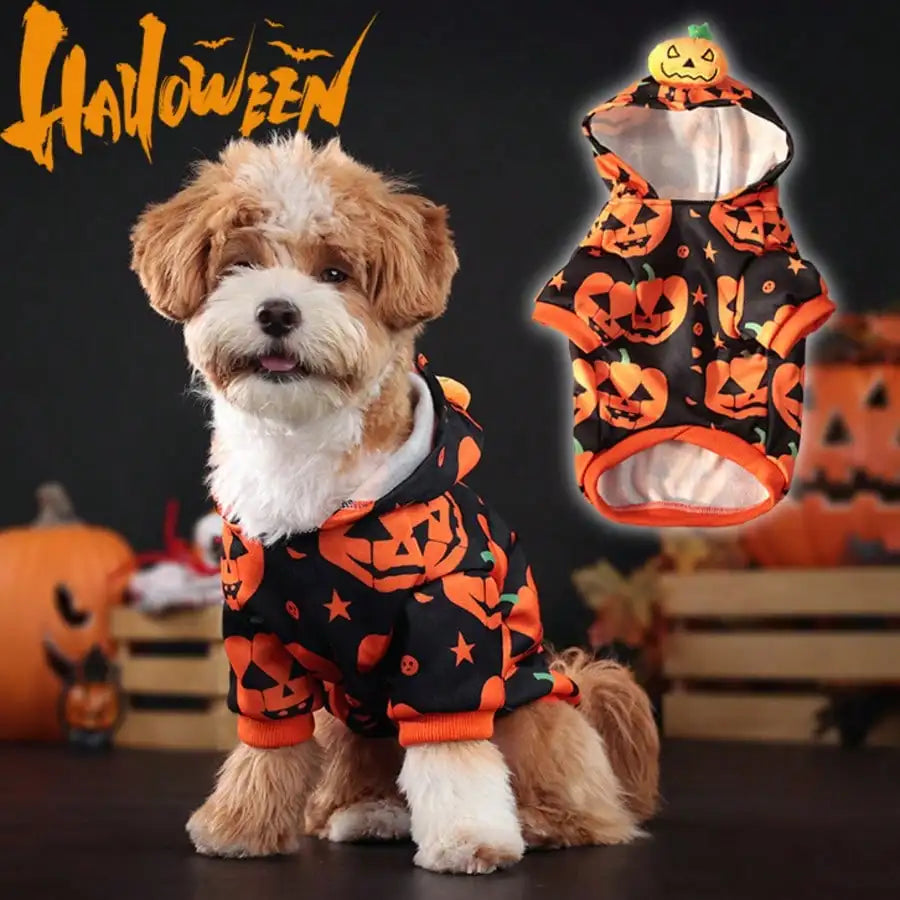 Stylish Adjustable Halloween Spider Pet Costume For Pets