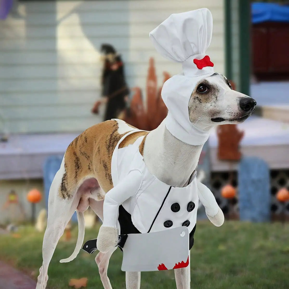 Dog Halloween Chef Costume Outfit With Matching Hat