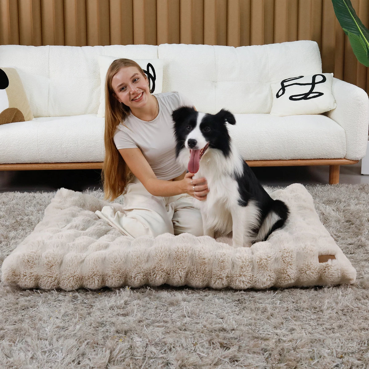 Bingopaw Ultra Plush Dog Bed With Removable Thick Foam Cushion