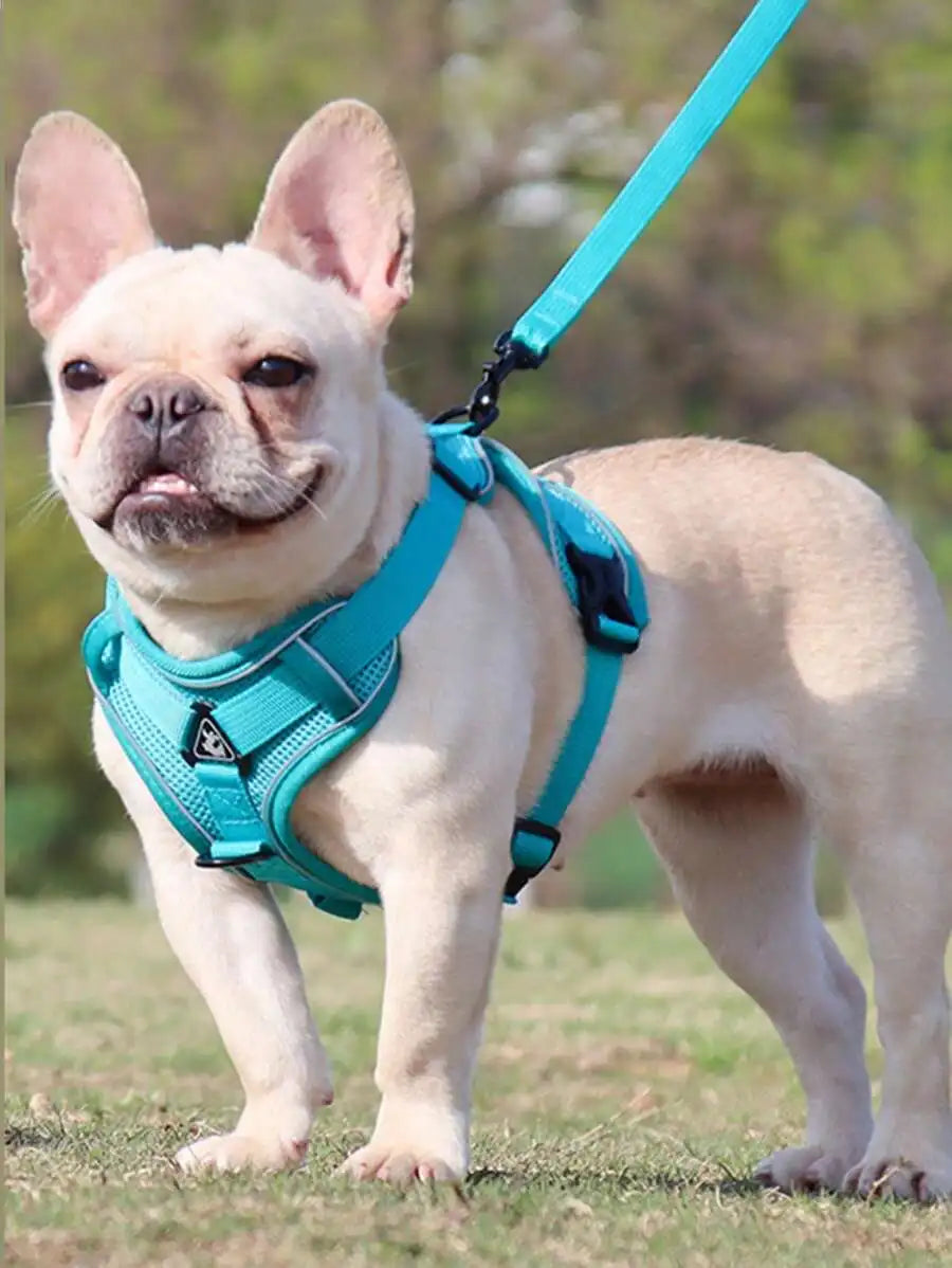 Reflective Pet Harness And Leash Set For Dogs And Cats