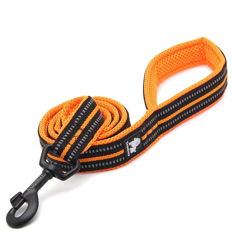 Winhyepet Padded-Handle Dog Leash for Training and Daily Walks