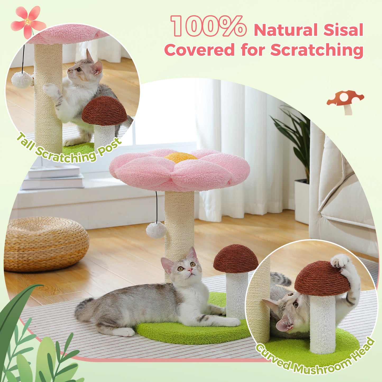 PAWZ Road Small Cat Scratching Posts With Removable Flower Bed