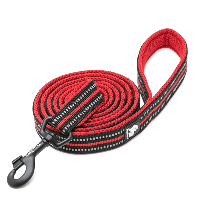 Winhyepet Padded-Handle Dog Leash for Training and Daily Walks